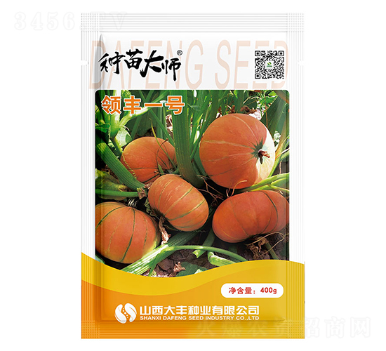 領豐一號-南瓜種子-大豐種業(yè)