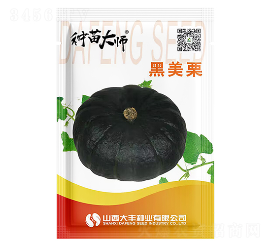 黑美栗-南瓜種子-大豐種業