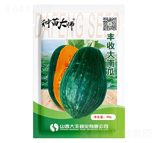 豐收大南瓜-南瓜種子-大豐種業