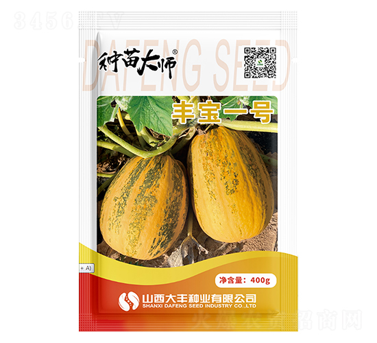 豐寶一號-南瓜種子-大豐種業