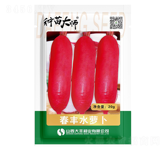 春豐水蘿卜-水蘿卜種子-大豐種業