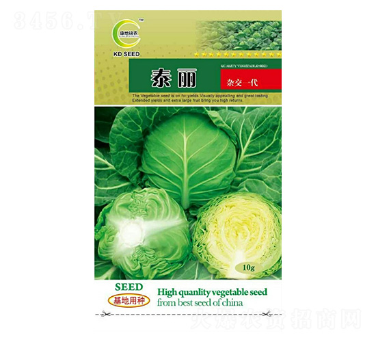 泰麗-甘藍種子-康地科技