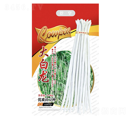 大白龍-豇豆種子-康地科技