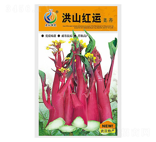 洪山紅運-菜薹種子-康地科技