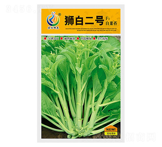 獅白二號-菜薹種子-康地科技