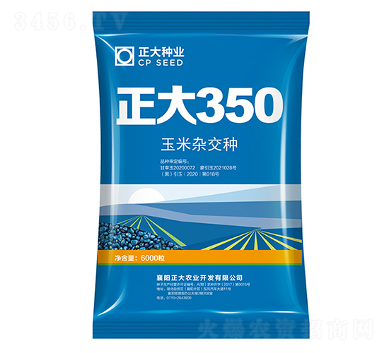 正大350-玉米種子-正大種業