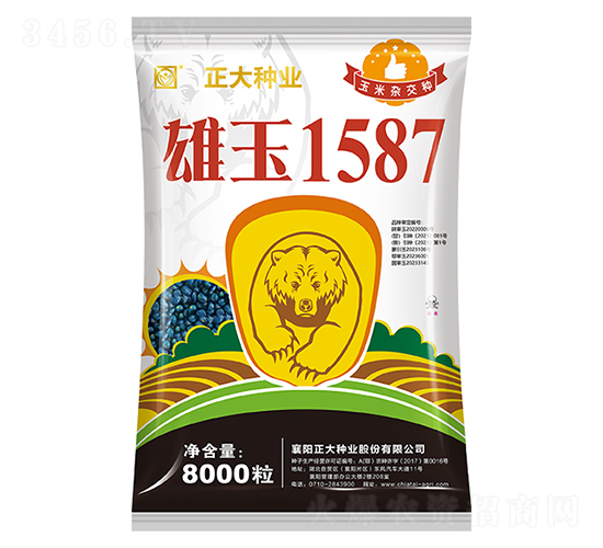 雄玉1587-玉米種子-正大種業