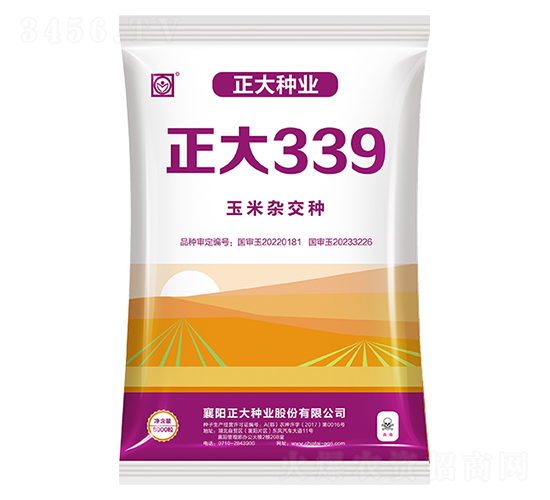 正大339-玉米種子-正大種業