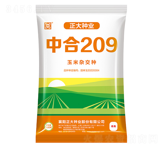 中合209-玉米種子-正大種業