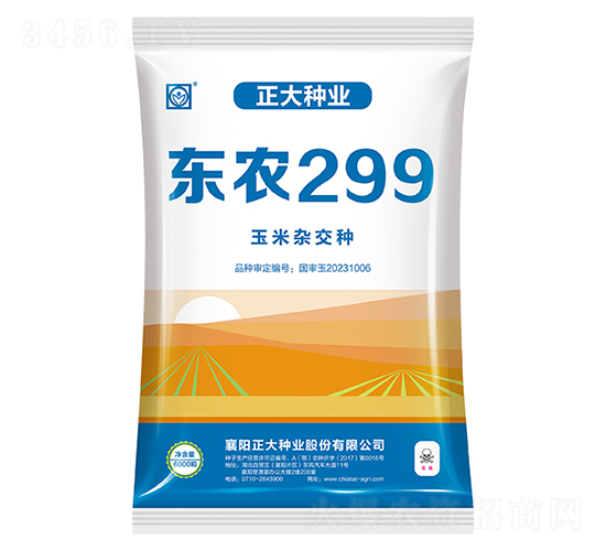 東農299-玉米種子-正大種業
