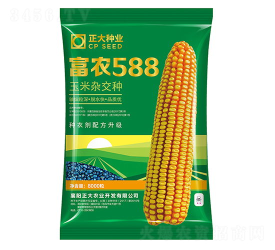 富農588-玉米種子-正大種業