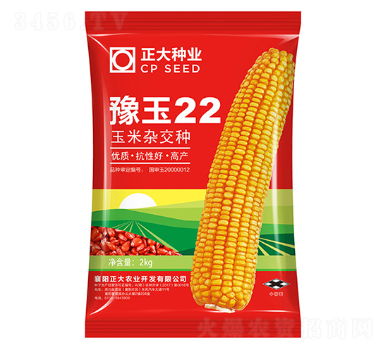 豫玉22-玉米種子-正大種業