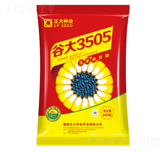 谷大3505-玉米種子-正大種業