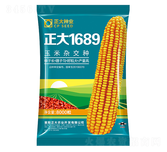 正大1689-玉米種子-正大種業