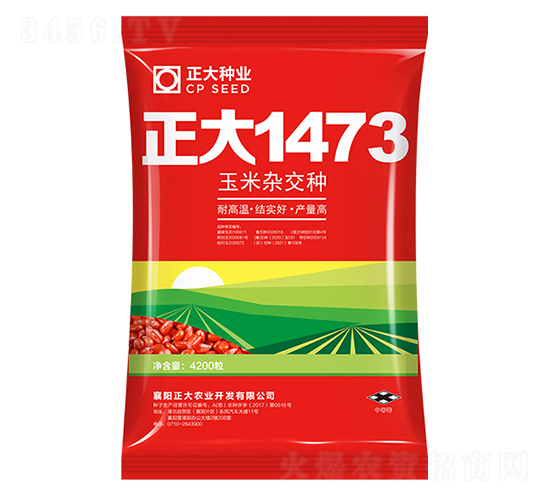 正大1473-玉米種子-正大種業