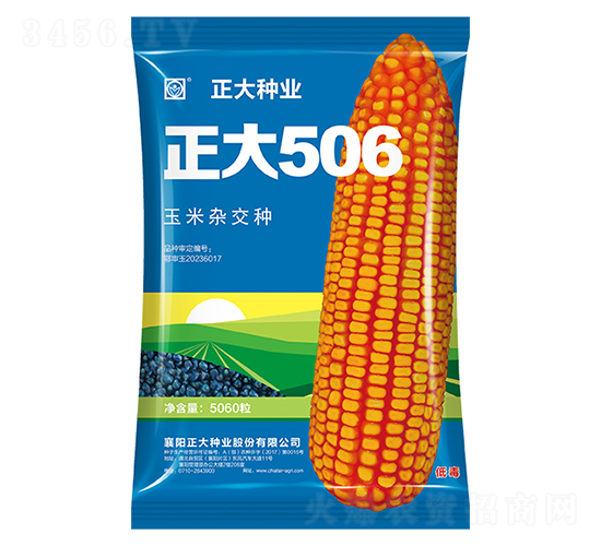 正大506-玉米種子-正大種業