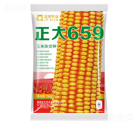 正大659-玉米種子-正大種業