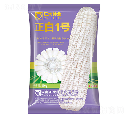 正白1號-玉米種子-正大種業