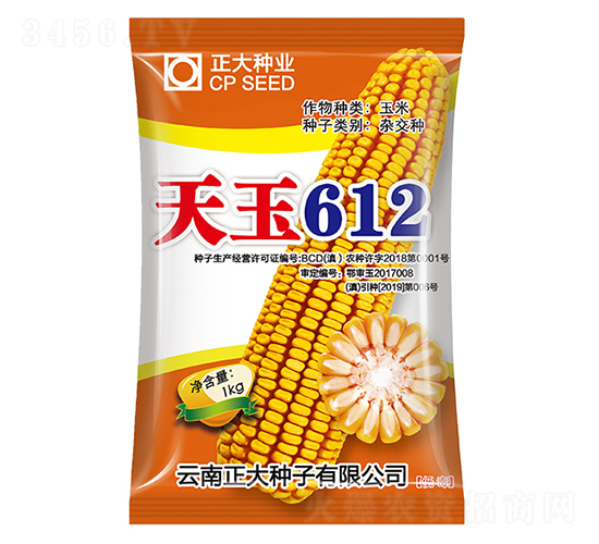 天玉612-玉米種子-正大種業