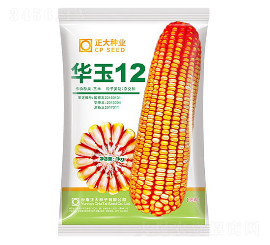 華玉12-玉米種子-正大種業