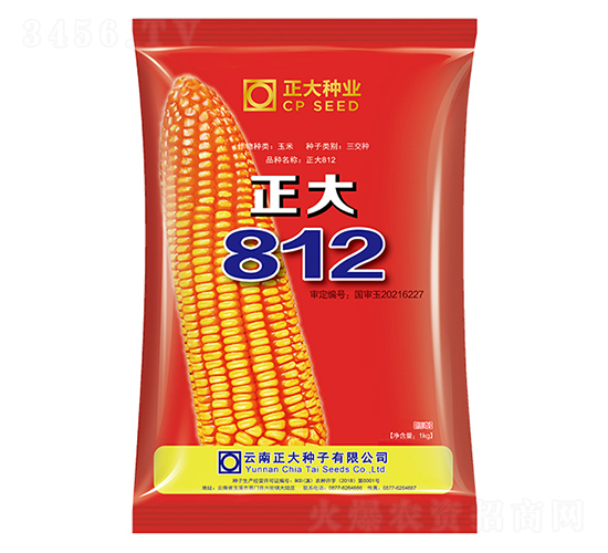 正大812-玉米種子-正大種業