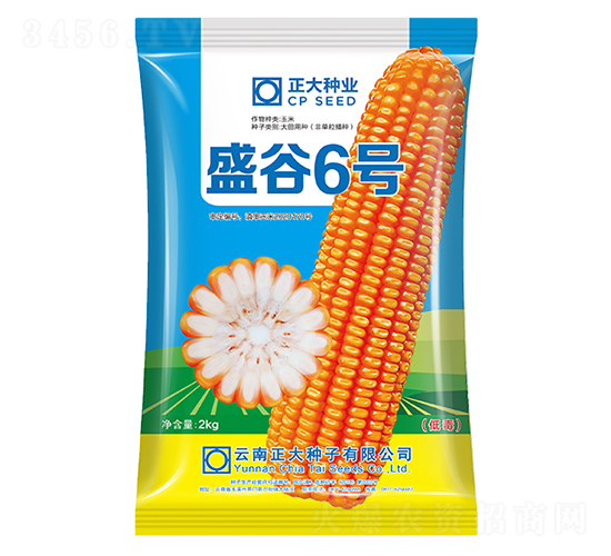 盛谷6號-玉米種子-正大種業