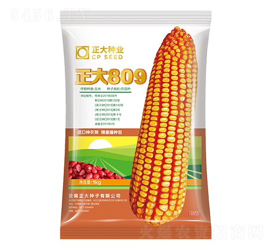 正大809-玉米種子-正大種業