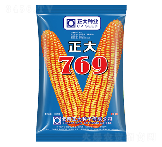 正大769-玉米種子-正大種業