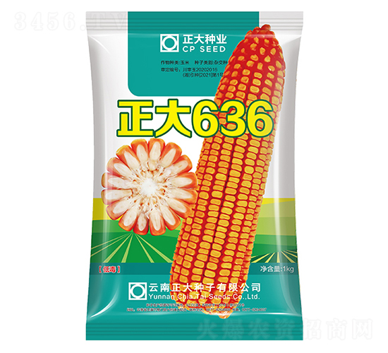 正大636-玉米種子-正大種業