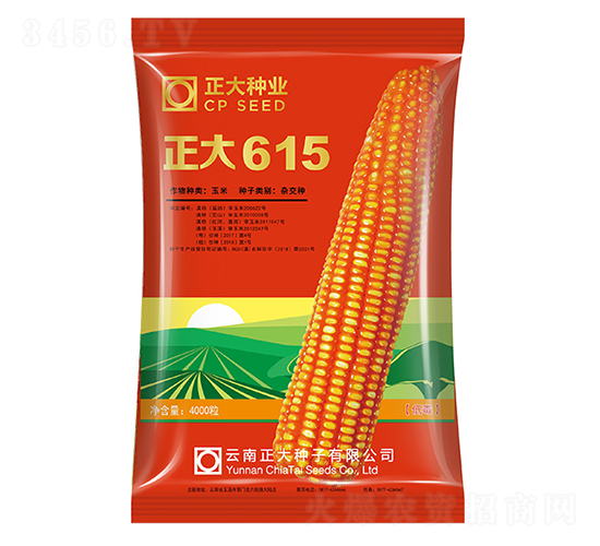 正大615-玉米種子-正大種業