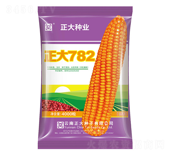 正大782-玉米種子-正大種業