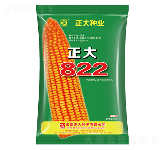 正大822-玉米種子-正大種業
