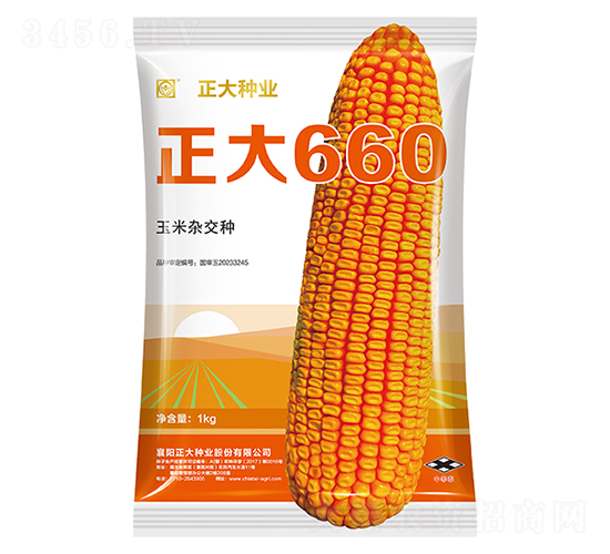 正大660-玉米種子-正大種業