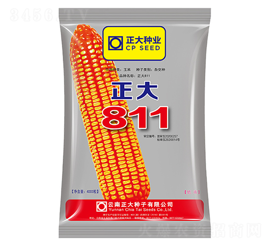 正大811-玉米種子-正大種業