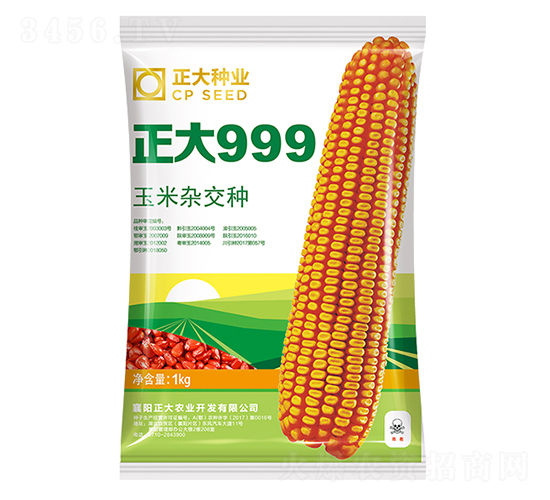 正大999-玉米種子-正大種業