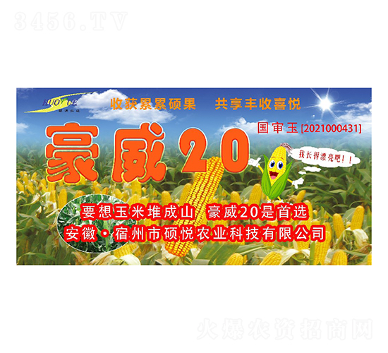 豪威20玉米種子-碩悅農業