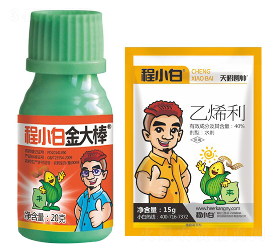 乙烯利營養調控劑-金大棒+天膨圓帥-程小白-邦農農業