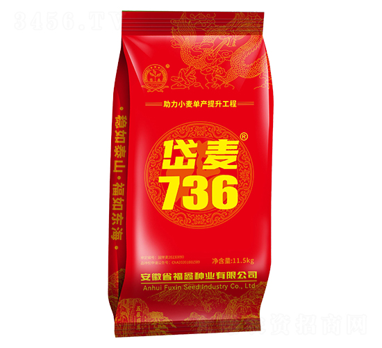 岱麥736小麥種子-福鑫種業
