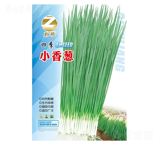 四季小香蔥-黔糧-良籽農業