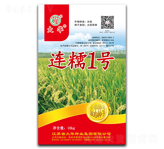 連糯1號-水稻種子-大華種業