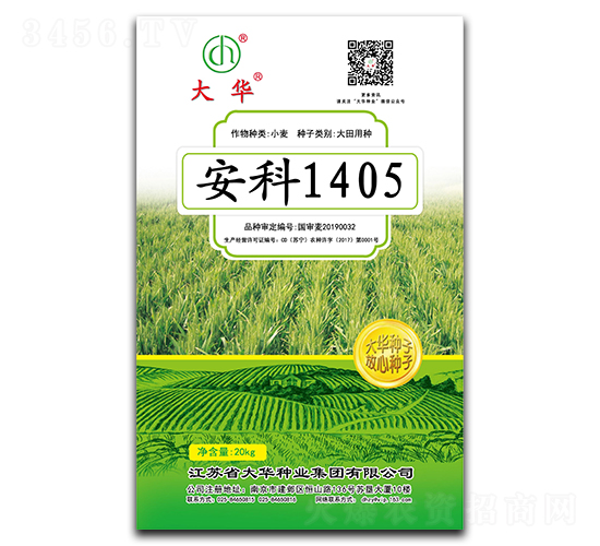 安科1405-小麥種子-大華種業