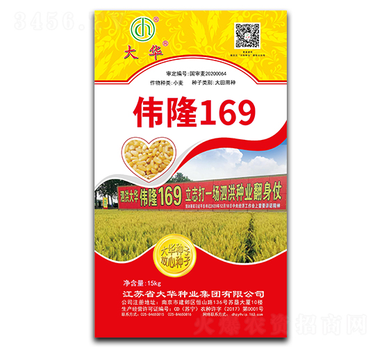 偉隆169-小麥種子-大華種業