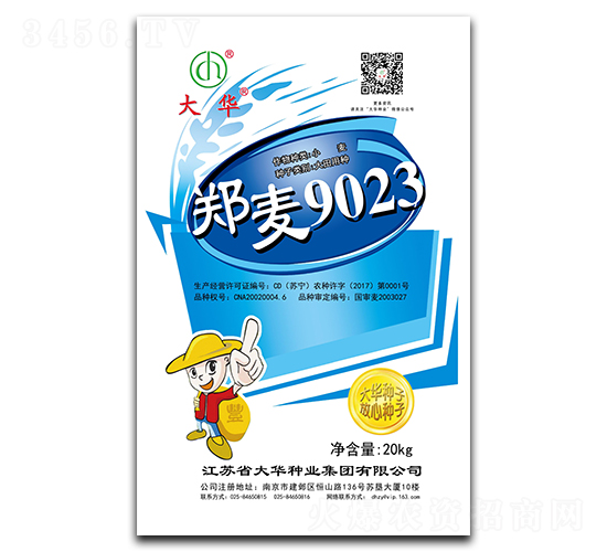 鄭麥9023-小麥種子-大華種業