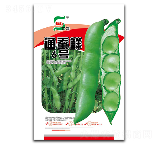 通蠶鮮6號-蠶豆種子-大華種業