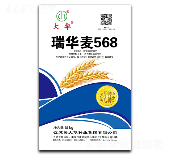 瑞華麥568-小麥種子-大華種業