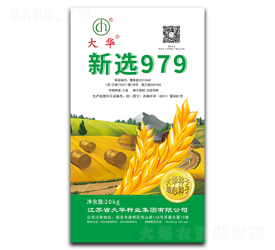 新選979-小麥種子-大華種業