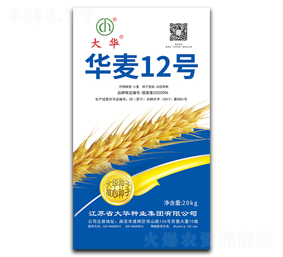 華麥12號-小麥種子-大華種業