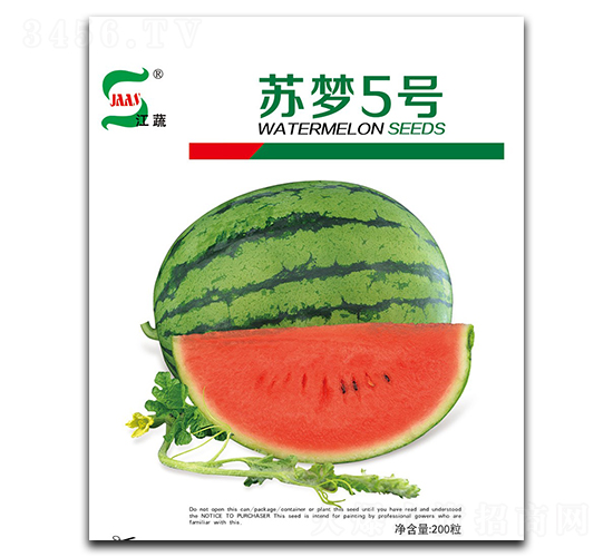 蘇夢5號-西瓜種子-大華種業