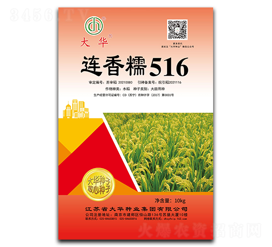連香糯516-水稻種子-大華種業