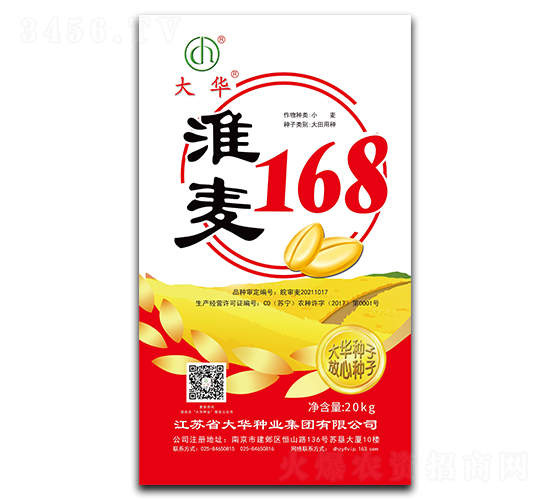 淮麥168-小麥種子-大華種業